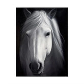 Whispering Breeze #CDFB00559