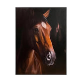 Chestnut Serenity #CDFB00542