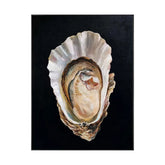 Serene Oyster Reverie #CDFB00205