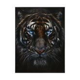 Azure Gaze of the Striped Sovereign #CDFB00523