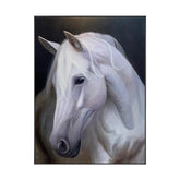 Crimson-eyed Serenity #CDFB00557