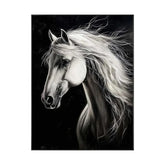 Whispering Wind Stallion #CDFB00270