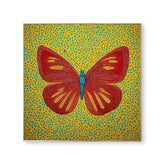 Crimson Pop Monarch #CDFB00405