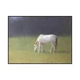 Serene Grazing in the Breeze #CDFB00561