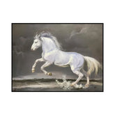 Galloping Spirit on the Rocky Shore #CDFB00568