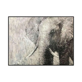 Serene Gaze of the Elephant #CDFB00583