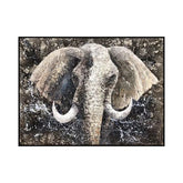 Celestial Pachyderm in Motion #CDFB00586