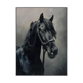 Storm's Equine Whisper #CDFB00731