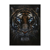 Azure Gaze of the Striped Sovereign #CDFB00734