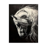 Whisper of the White Stallion #CDFB00942